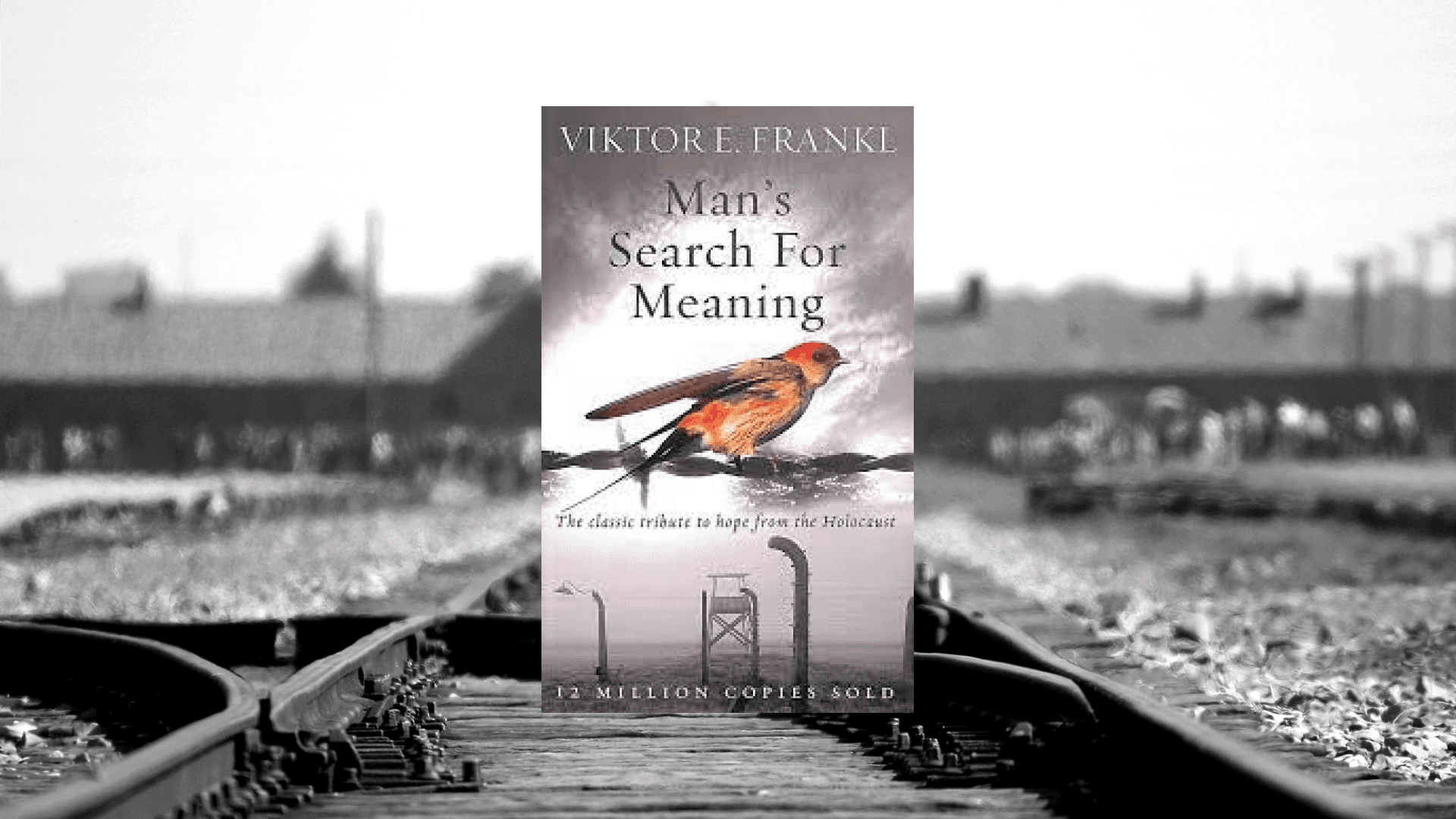 Man’s Search For Meaning