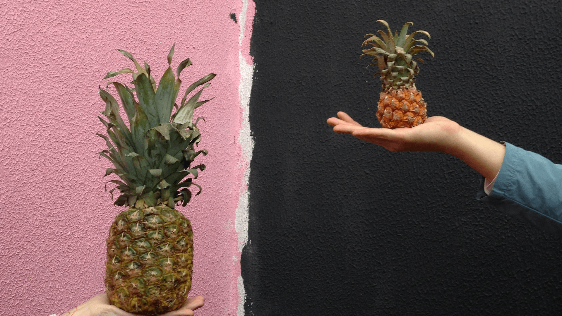 Pineapple in comparison